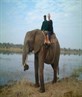Went on a nice elephant safari!!