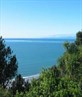 new zealand
