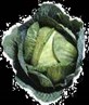 cabbage...