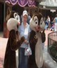 laura with chip and dale