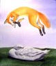 Fox and Swan