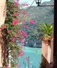 view next to my house in sorrento