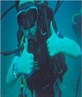 scuba diving in honduras