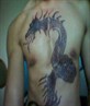 henna trippings