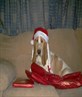 Bah Humbug