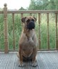 Cookie (Ma baby!!)