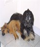 tequila and terra