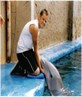 me with dolphin