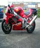 isn't she gorgous????