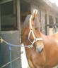 this is my special boy!