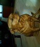 my other baby!