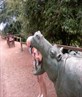 a fun day out at th zooo :D
