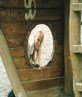 peek a boo