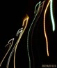 my lights