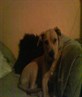 Debo now 5 months