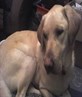 Oscar my best friend!