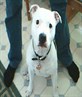 Tyson
