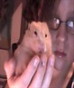 me pet