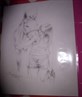 horse an girl!