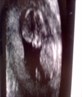 My first scan photo x