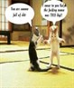 funnies