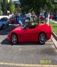 my bull