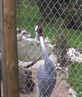 marwell again