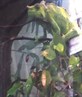 looks like ??? in the mornins :D