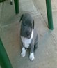 me little man