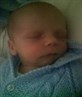 bradley