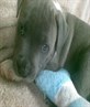 me little man