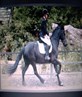 Me and izzy Dressage