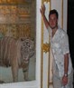yh its a real tiger :P