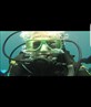 Great barrier reef diving jan2017