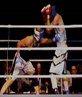boxing pic