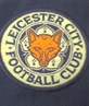 Come On U Foxes