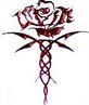 BLOOD ROSE