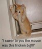 seen this loads of times but still laugh