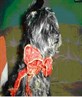 My dog called Raggy, hes THE BEST!