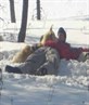 me and my dog in finland
