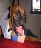 Ozzie - wen he was recoverin from an op