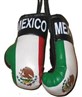 These are my actual boxing gloves.