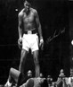 The Greatest 