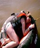 me at the lake 2