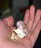 awwwwww