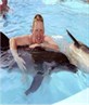 Me with Marsha the dolphin in Egypt