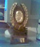 MY DARTS TROPHY