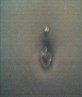 My belly button!