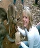 Feeding Kangaroo's