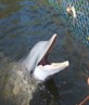 me mate flipper, he was lush